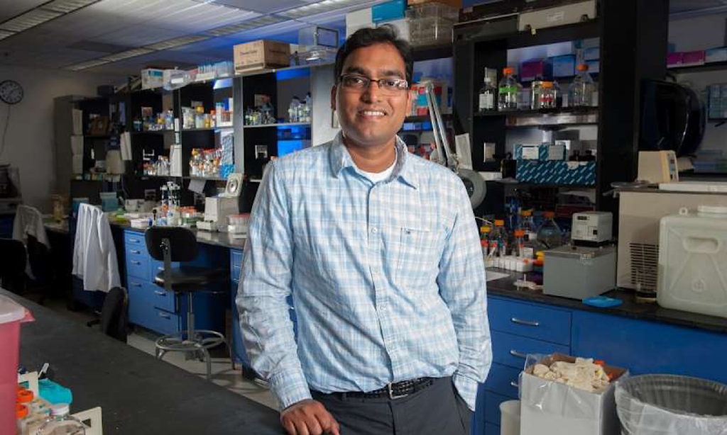 Team-paves-way-growing-human-organs-transplantation