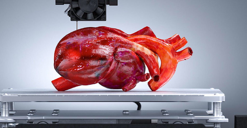 Researchers Devise Rapid 3D Printing Method for Human Organs Impact Lab