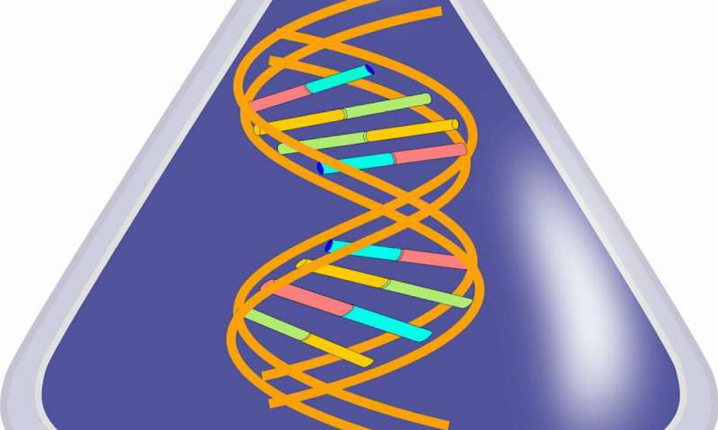 New discovery shows human cells can write RNA sequences into DNA ...