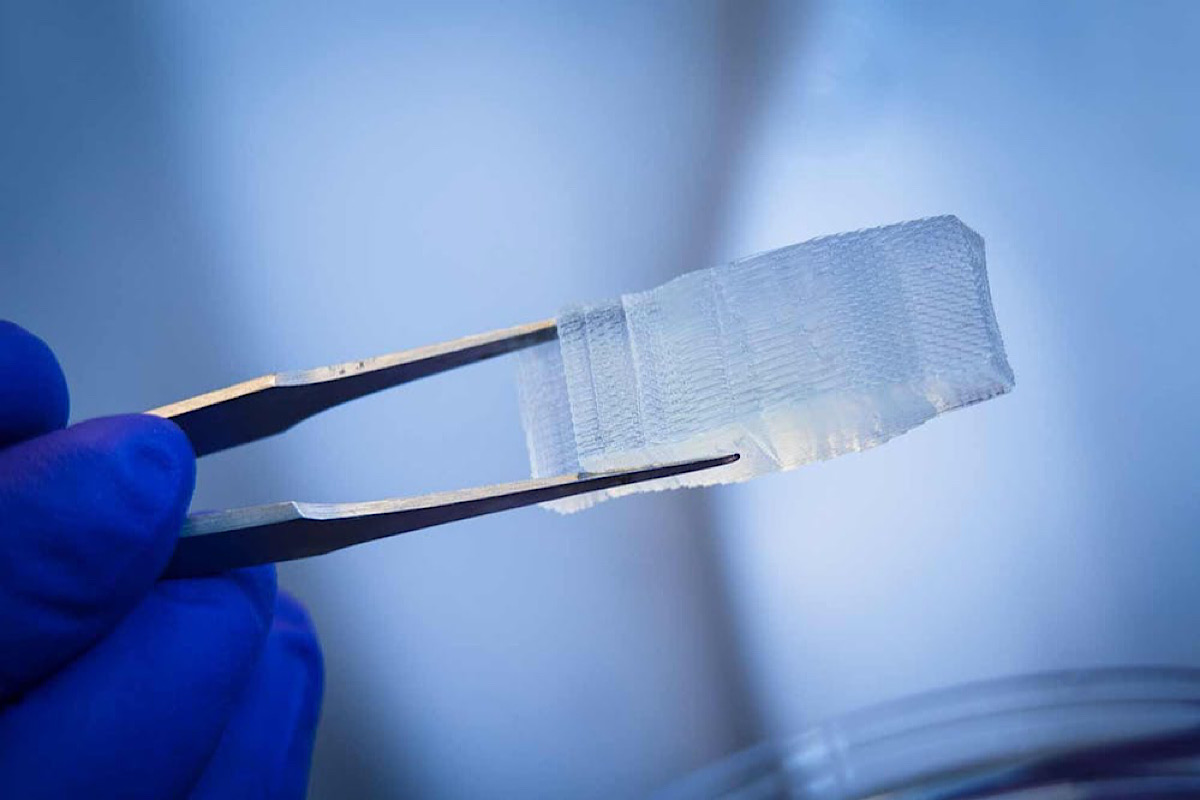 Healing wounds and regrowing bones: Duke faculty develop futuristic biomaterial implants