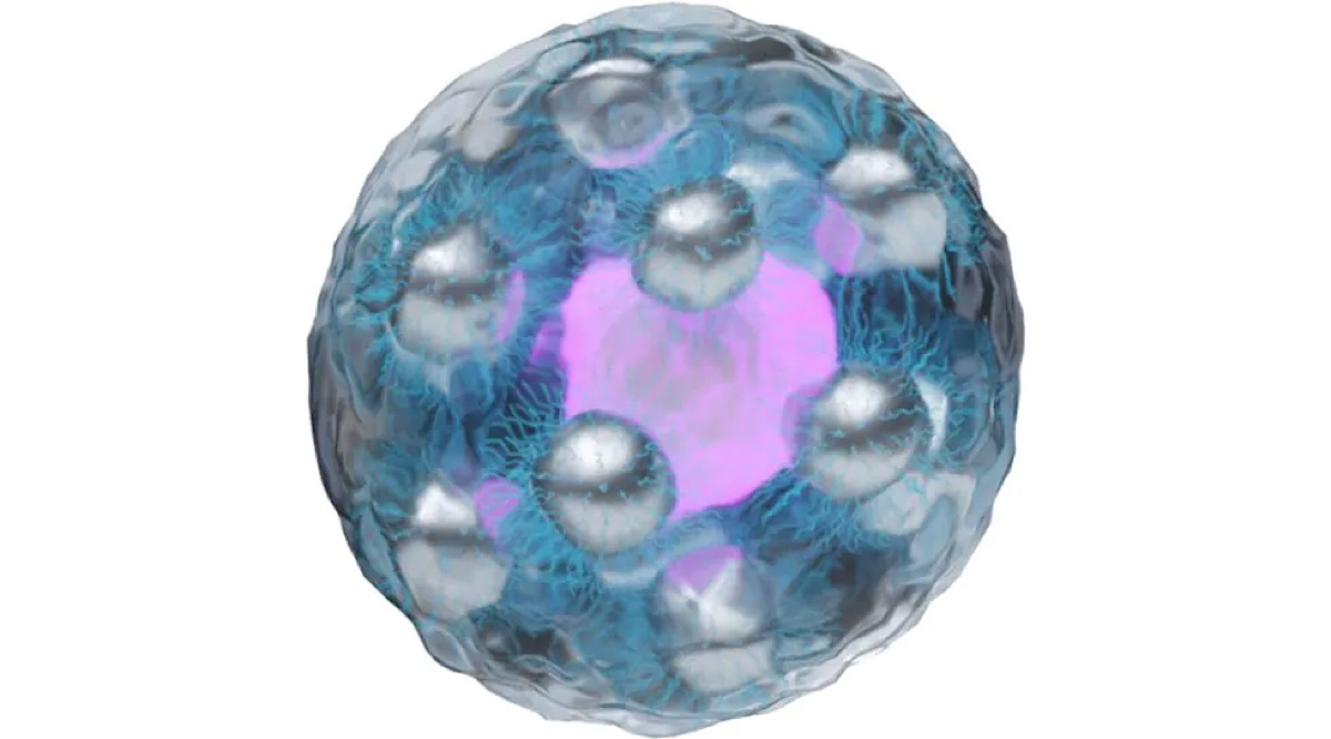 Magnetically-guided delivery of therapeutic stem cells into the brain