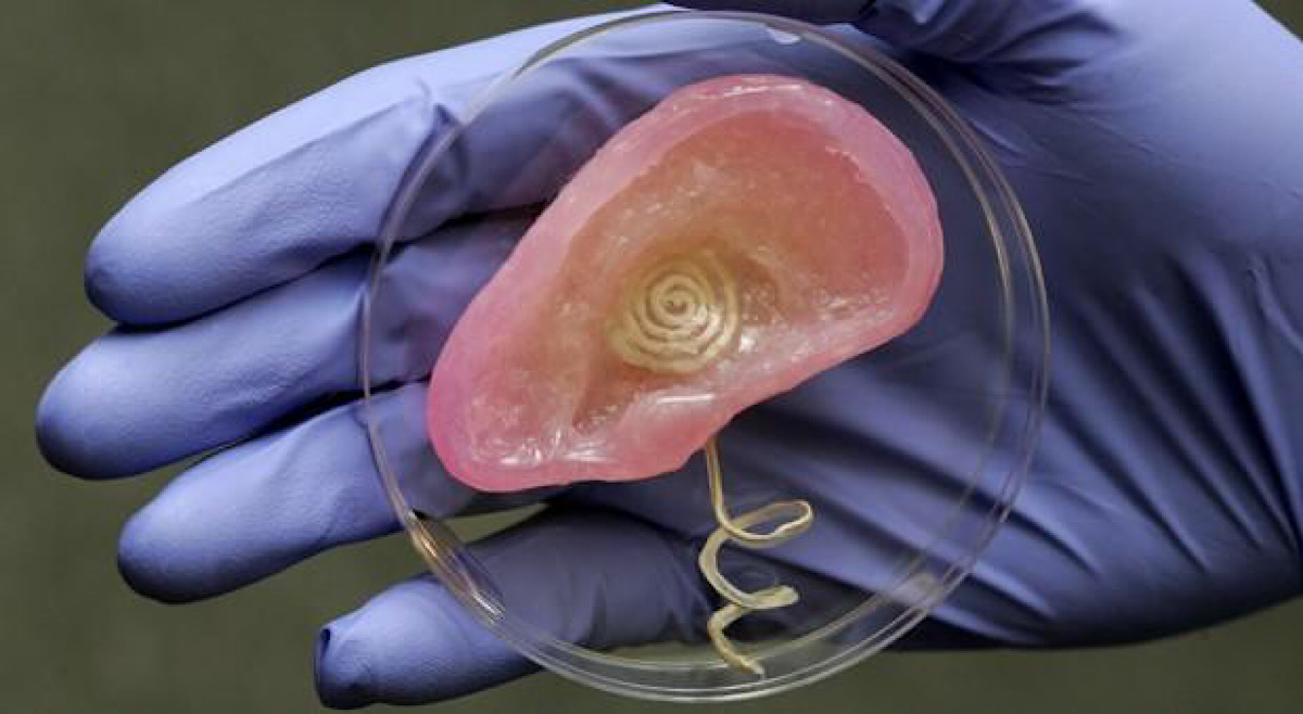 PRINCETON CRAFTS A 3D PRINTED BIONIC EAR WITH SUPER HEARING, CREEPY LOOKS
