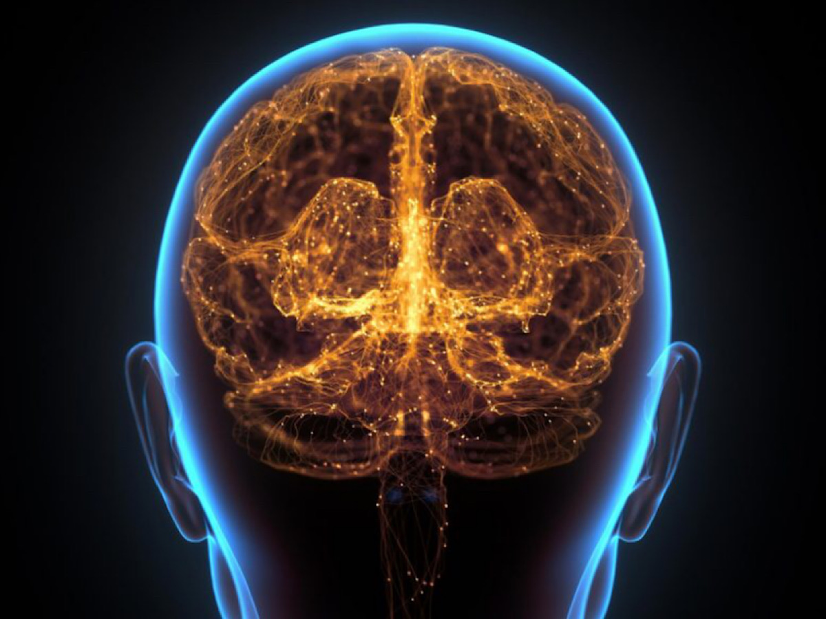 Scientists Have Established a Key Biological Difference Between Psychopaths and Normal People
