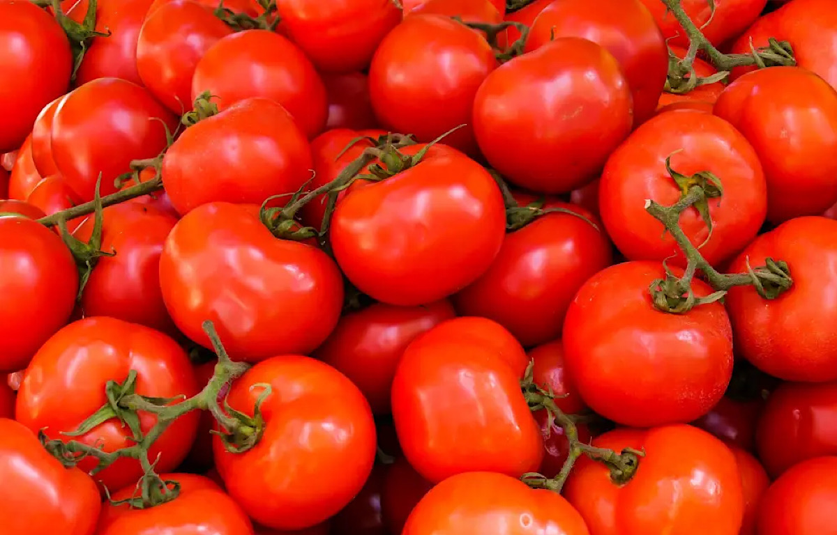 Gene-edited super tomato may provide the vitamin punch to fight Alzheimer’s, Parkinson’s, and cancer