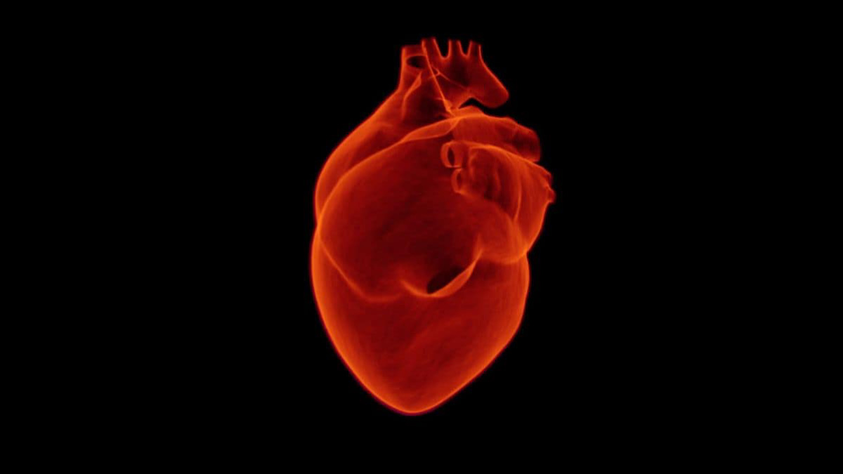New Technology Can Repair Heart Muscles After an Attack, Say Researchers