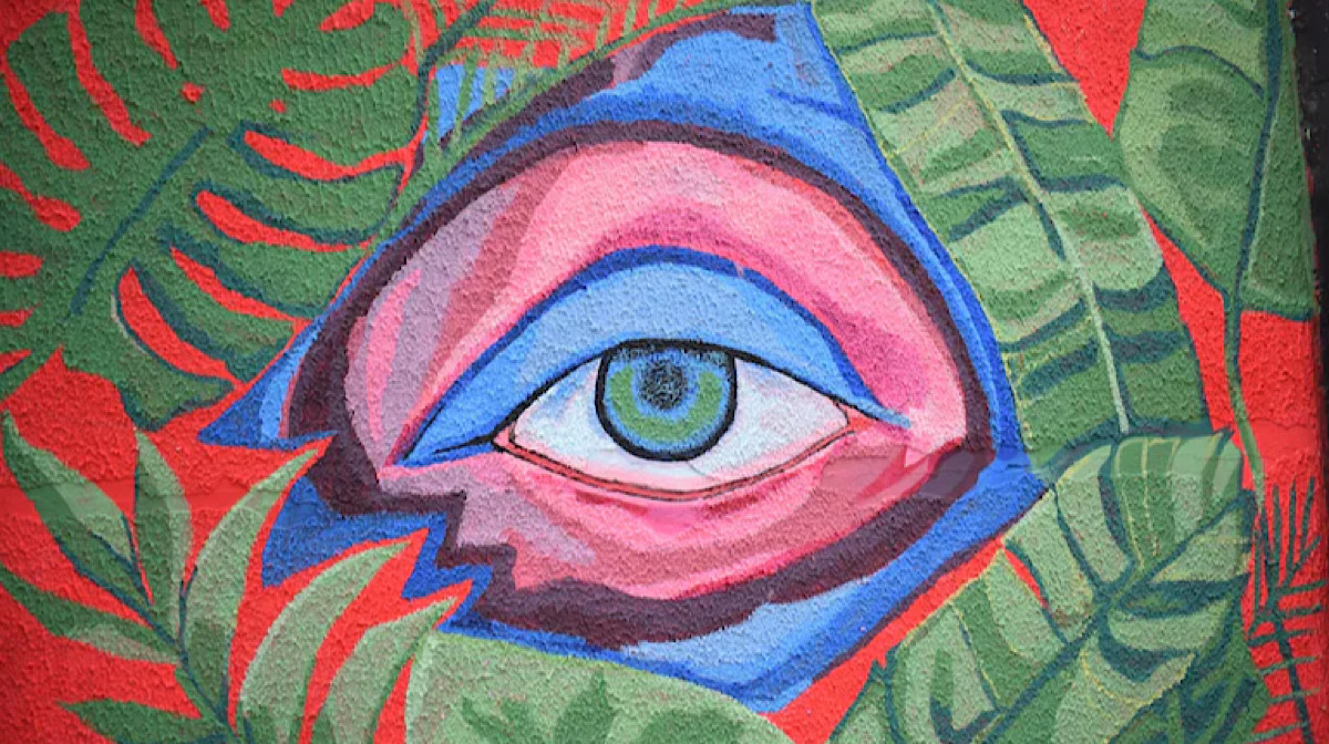 India’s first 3-D printed cornea developed by scientists from Hyderabad