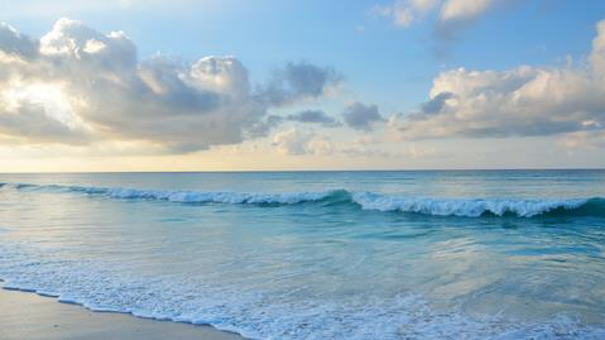 Water-splitting device solves puzzle of producing hydrogen direct from seawater