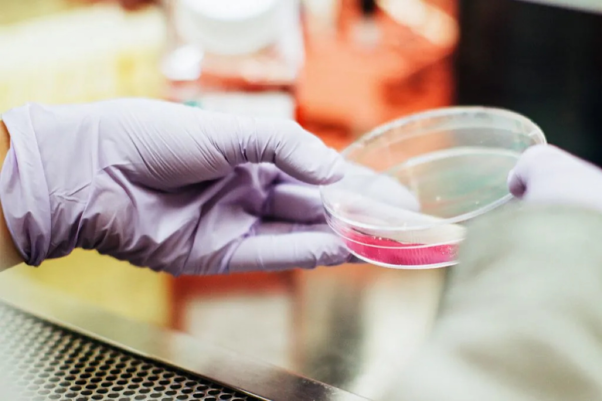 “Braingeneers” automate growth of brain tissue organoids on a chip