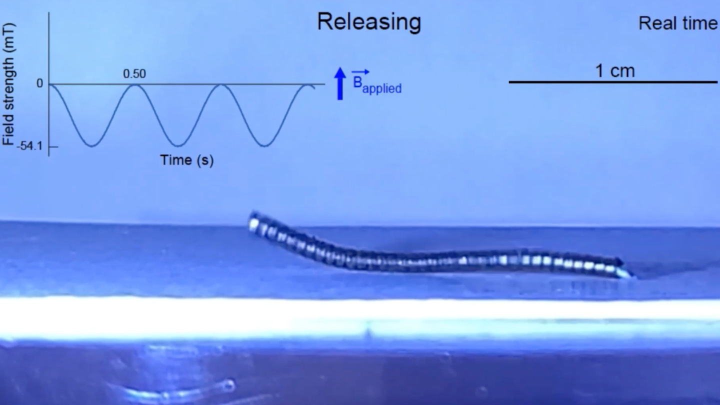 MIT Researchers Develop Cucumber-Inspired Soft Robot for Precise Maneuvering in Tight Spaces