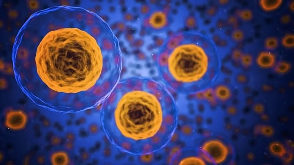 Light-Activated Molecular Machines Revolutionize Cellular Communication for Improved Disease Treatments