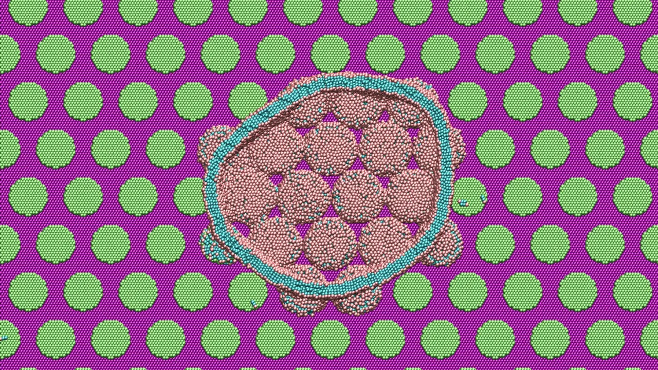 Unveiling Nature’s Microbe Killer: The Cicada Wing’s Antibacterial Secret Unraveled Through Nanoscale Simulations