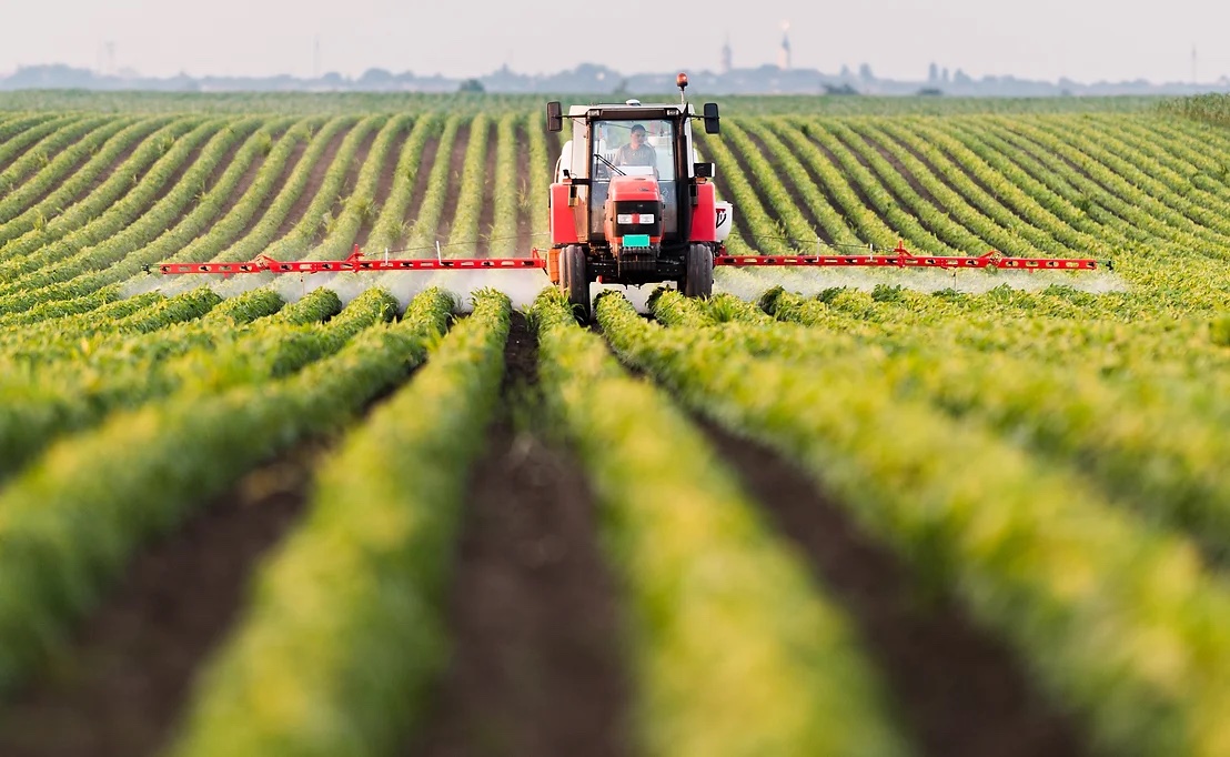 Transforming Plant Health: Scientists Engineer Microbiomes to Combat Diseases