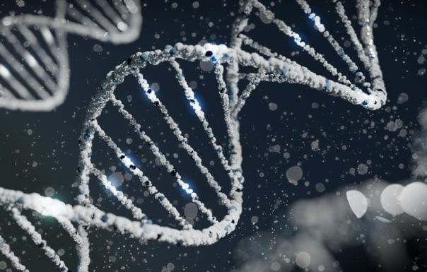 Decoding Aging: Unraveling the Role of Gene Length