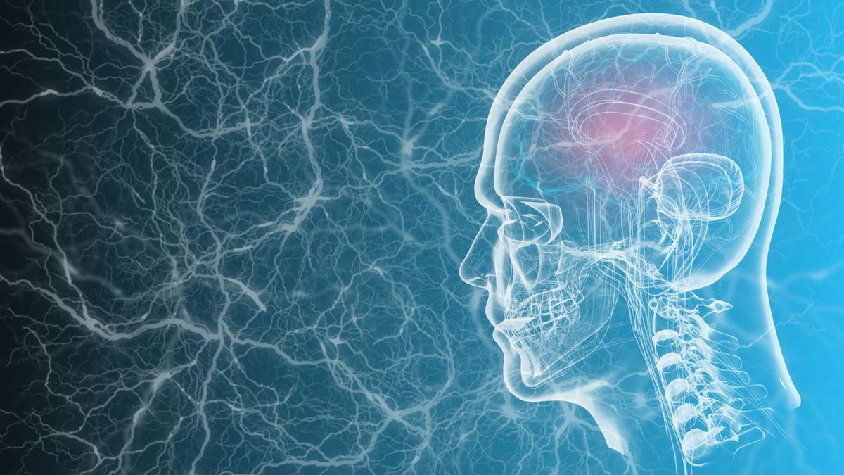 Breakthrough in Parkinson’s Treatment: Adaptive Deep Brain Stimulation Offers Personalized Relief