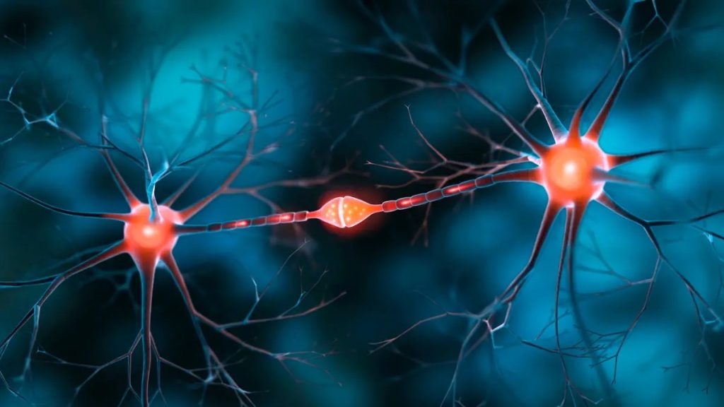 Chinese Researchers Develop Energy-Efficient AI Model Inspired by Human ...