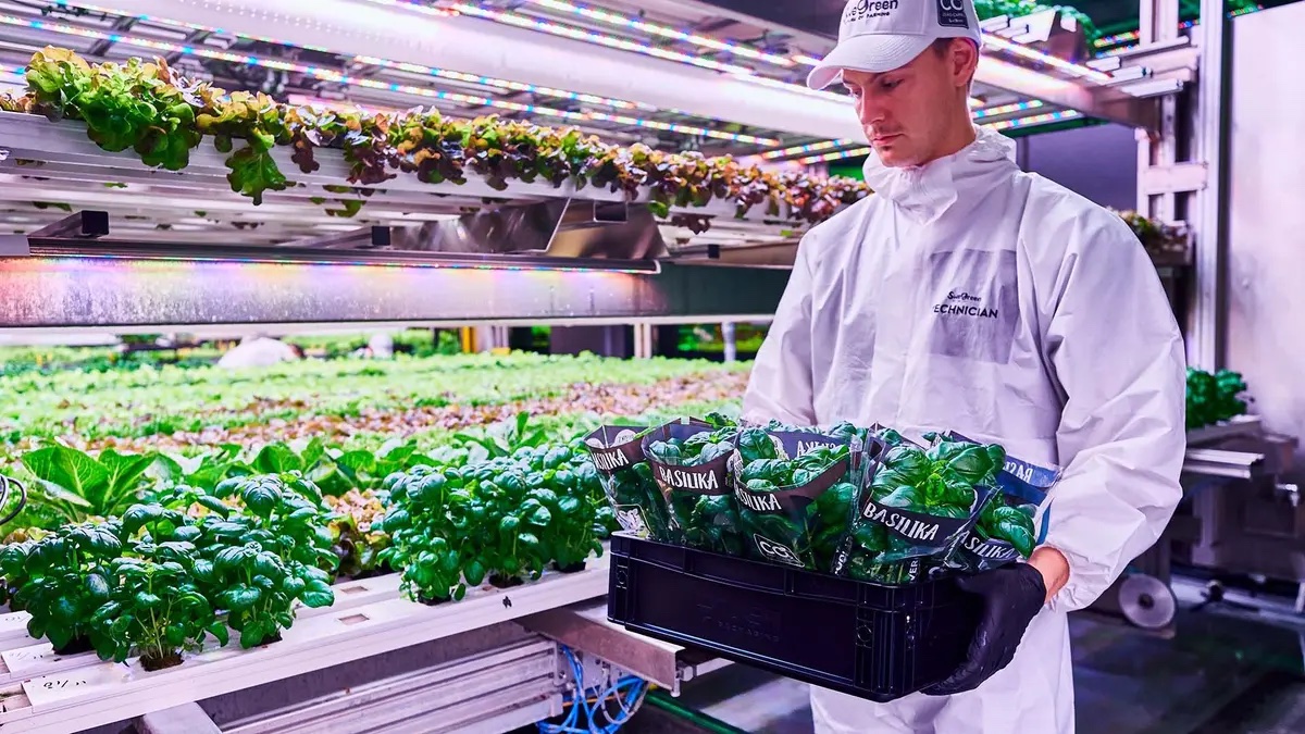 SweGreen: Revolutionizing Farm-to-Supermarket with Hydroponics and AI