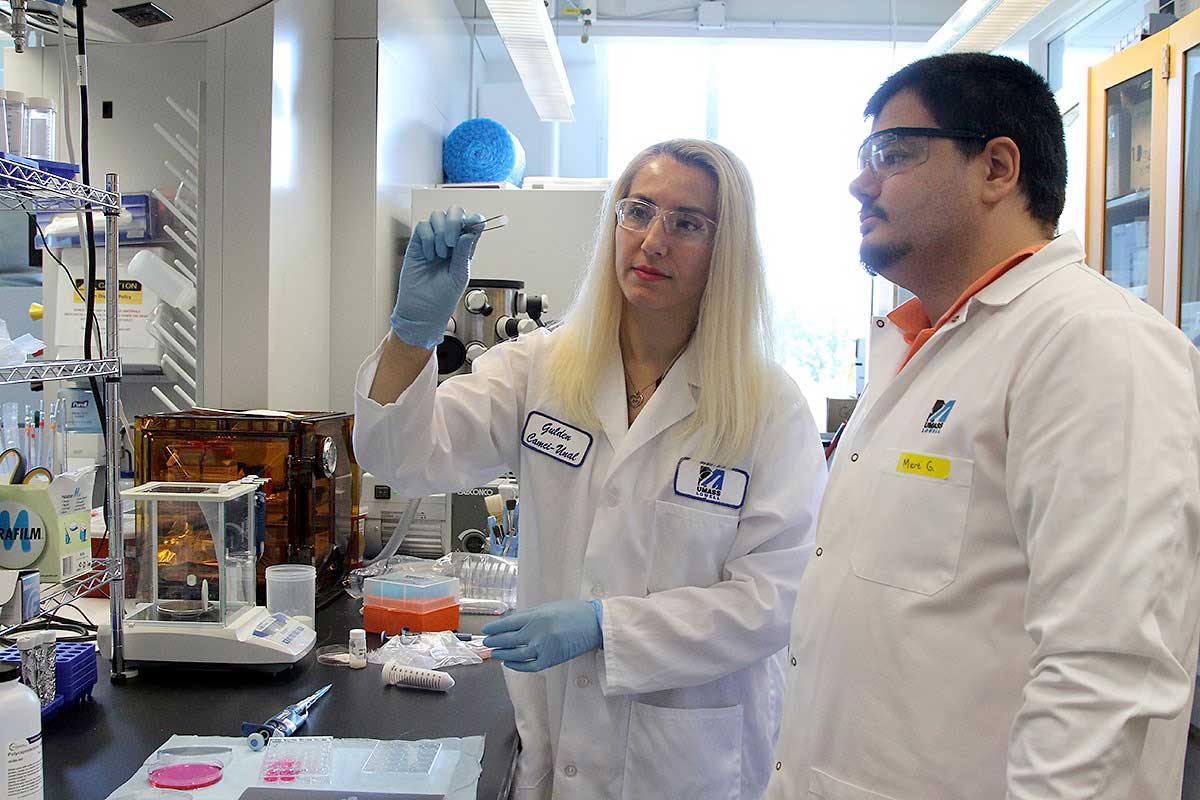 Eggshells: The Future of Bone and Cartilage Implants