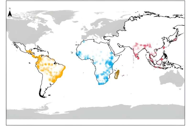 Climate Change Threatens Global Primate Populations: New Study Reveals Extinction Risks