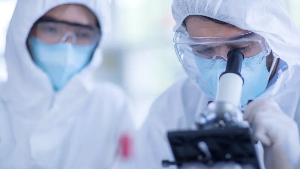 Groundbreaking Solar-Powered Tissues Could Transform Lab-Grown Meat and Organ Production