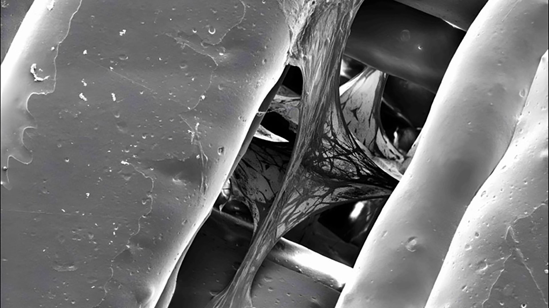 Revolutionary 3D Printing Technique Opens New Doors for Bone Tissue Research and Drug Development