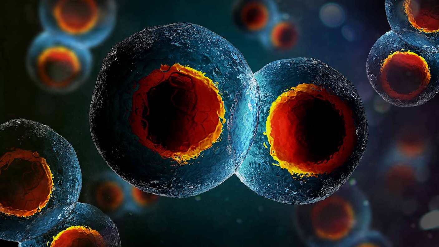 Germline Editing: A New Frontier in Medicine or a Slippery Slope?