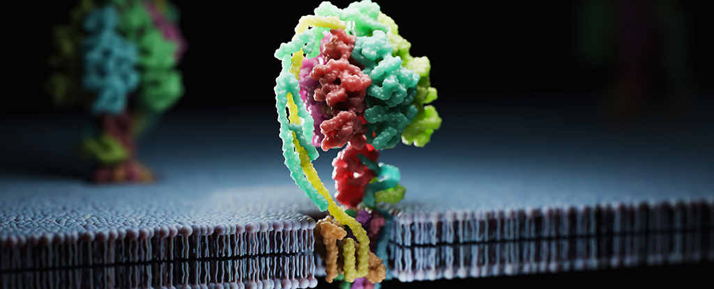 AI Model Synthesizes Custom Proteins with Limitless Potential for Medicine and Biotechnology