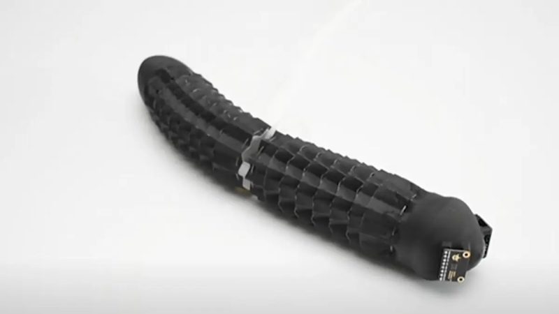 Nature-Inspired Soft Robot Mimics Worms and Snakes for Search-and ...