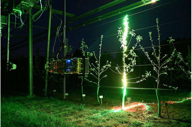 Robots Are Learning to Taste: How 3D Laser Scanners Are Teaching Machines to Harvest Like Humans