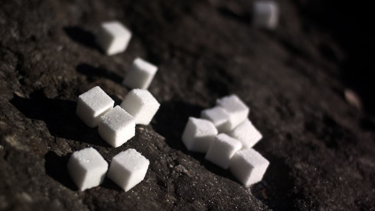 Chinese Scientists Create Sugar from Methanol, Paving the Way for Crop-Free Food Production