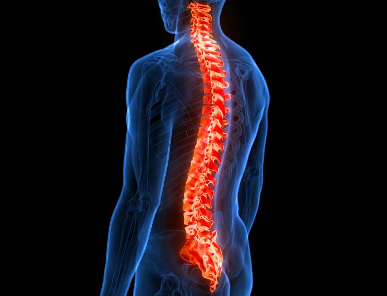 Electric Healing: 3D-Printed Implants That Rewire the Spine