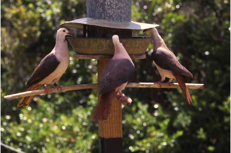 Reprogramming Nature: How Gene Editing Could Rescue the Species We’ve Already Failed