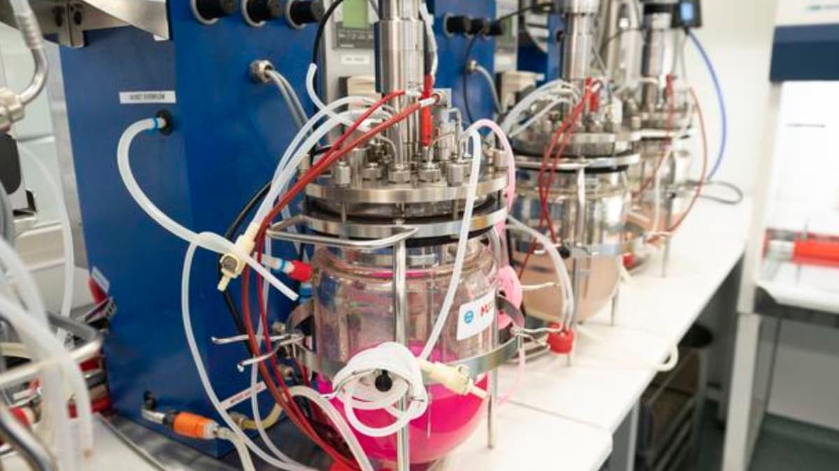 The Microbial Revolution: How Bacteria Are Building the Future of Plastic—and Then Erasing It