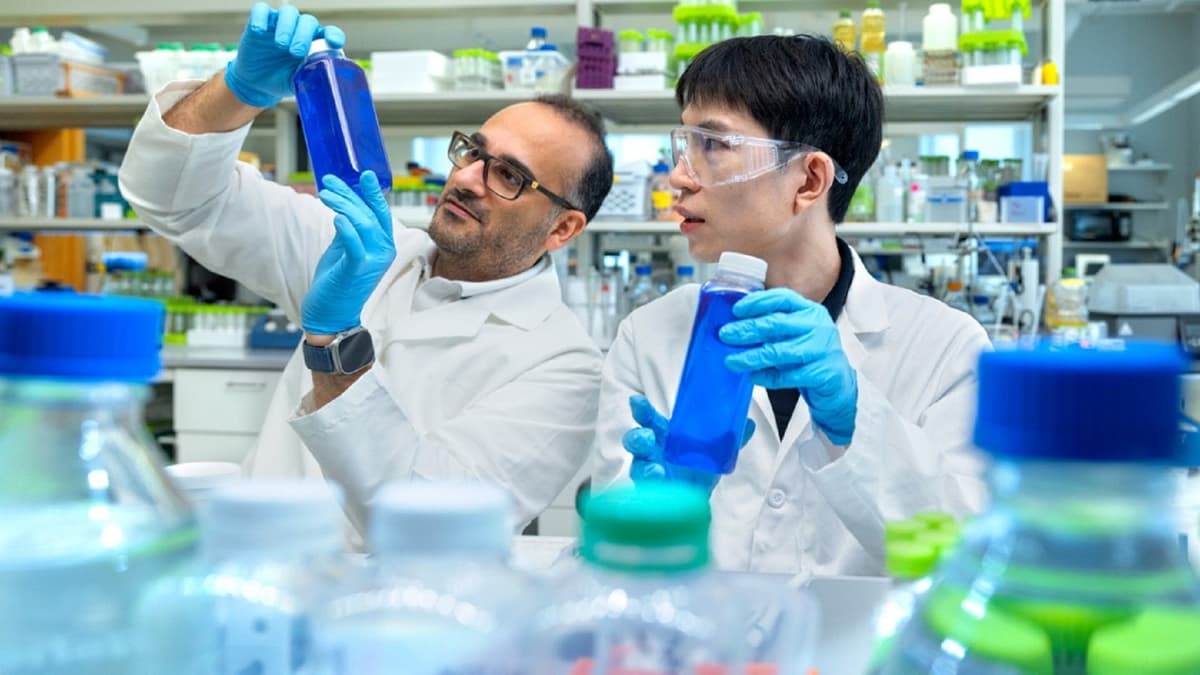 The Quest for True Blue: How Algae Just Crushed One of Food Science’s Toughest Challenges