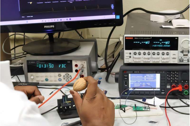 Turning Walnut Shells into Power: The Future of Coin-Sized Clean Energy