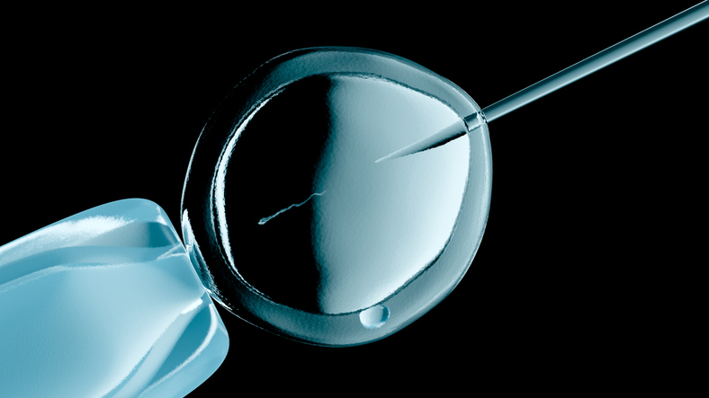IVF Reborn: The Stem Cell Hack That Could Rewrite Human Reproduction