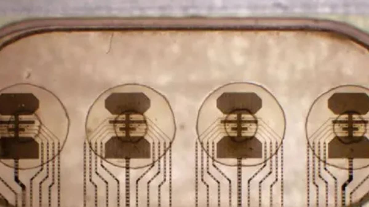 When Bacteria Replace Silicon: The Coming Age of Living Computers