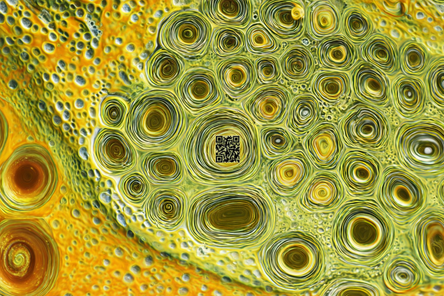 The World’s Smallest QR Code Is Smaller Than a Bacterium. Here’s Why That Changes Everything